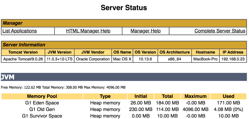 Tomcat Manager app server status