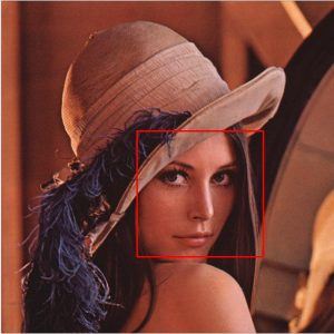 Face Detected