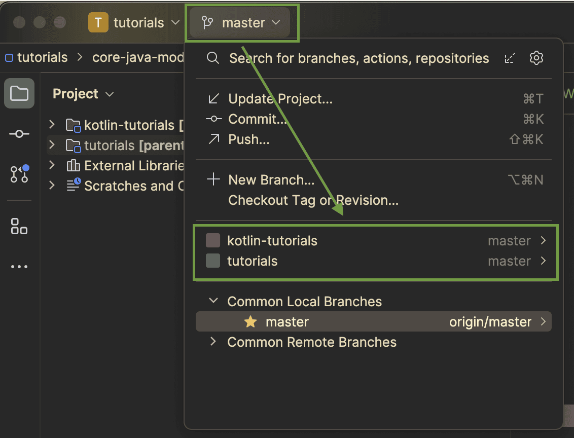 Multi module branches