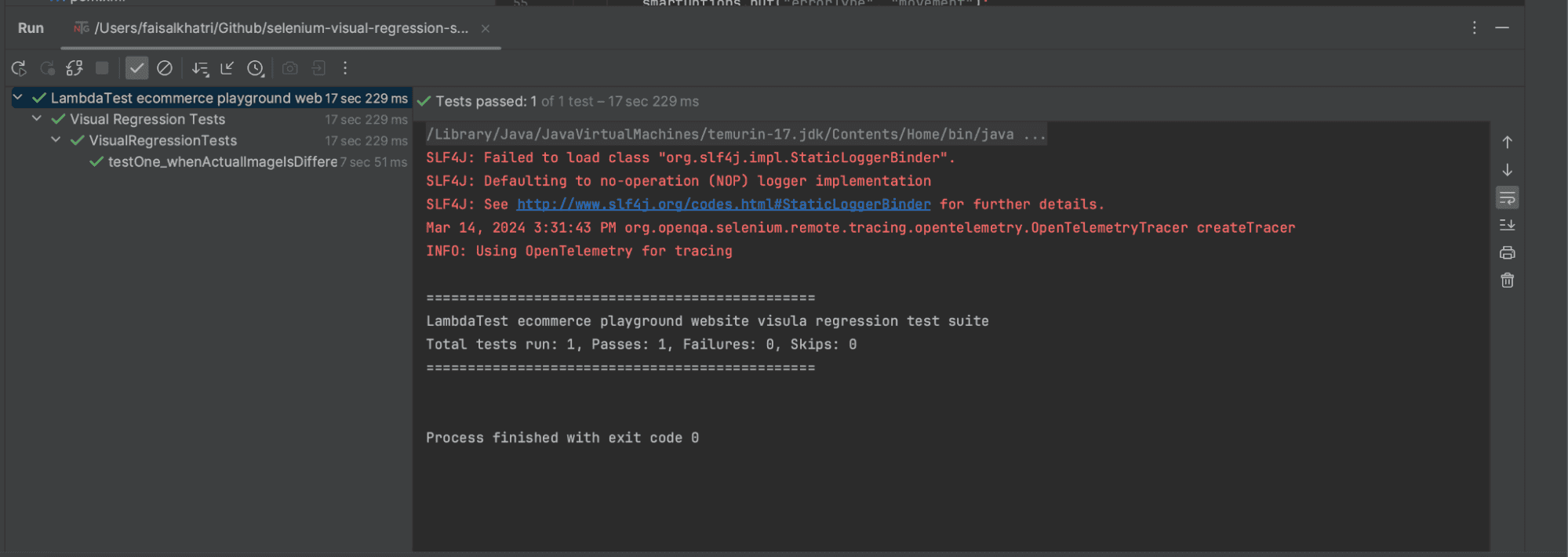 IntelliJ test execution