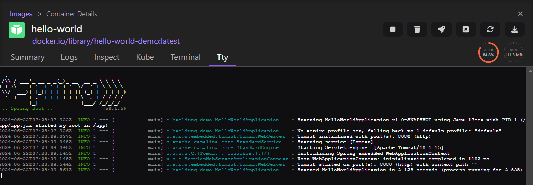 Podman container starter logs