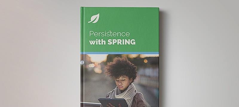 Persistence with SPRING - book cover