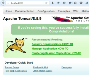 Tomcat Welcome Windows