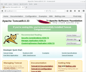 Tomcat Welcome Linux