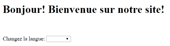 screen shot in French