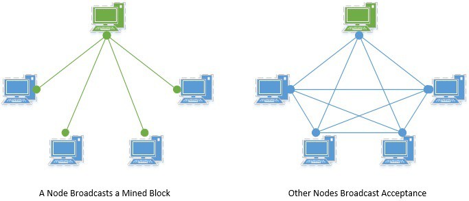 Blockchain Network 1