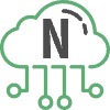 spring netflix - icon