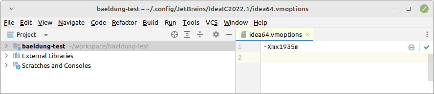 IntelliJ IDEA custom VM options