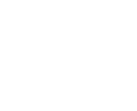 Green banner with white cursive text reading 'Summer Sale'.