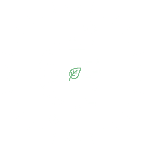 Illustration of a brain beside a circuit board with a green leaf at the center, encircled by radial lines suggesting energy or light (sustainable AI concept).