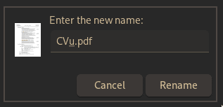 Renaming with Unicode
