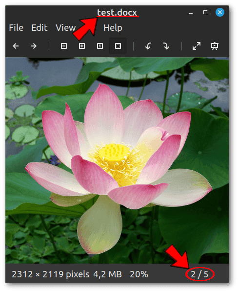 Image Viewer opens an image with docx extension