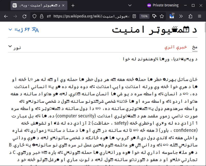 Computer System Wikipedia Pashto