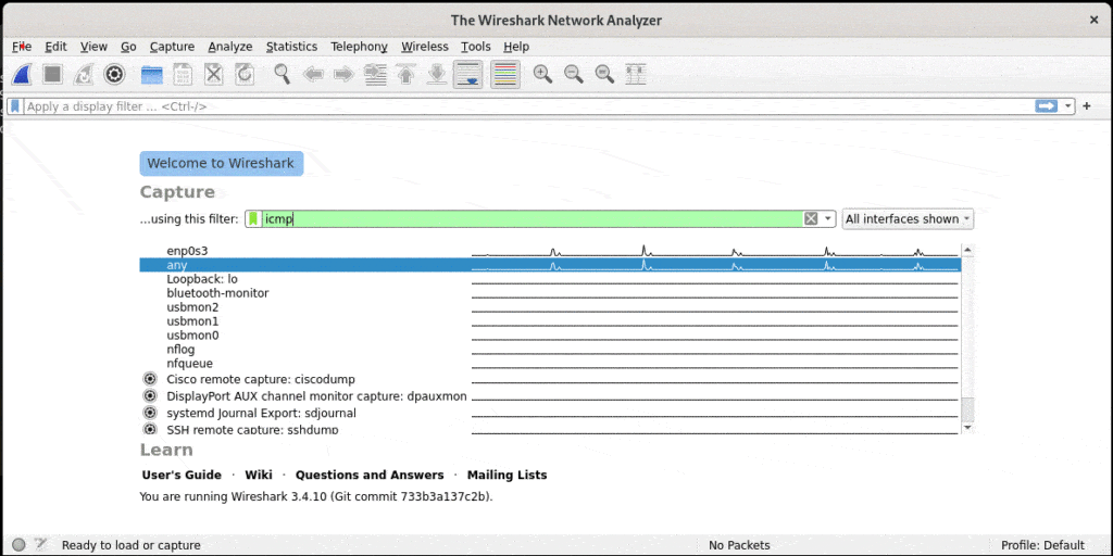 Wireshark ICMP Filter Applied