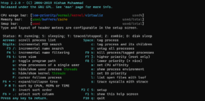 htop help page