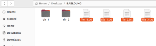 Screenshot of Nautilus file manager showing that we have selected only the files.