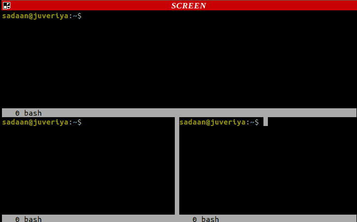 Multiple terminals using Screen