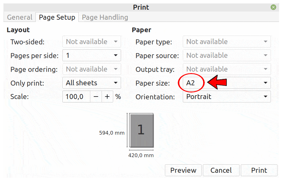 example printing options to convert a PDF to a different page size