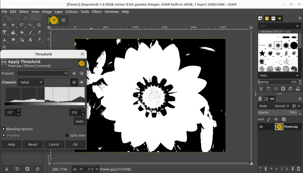 resulting black and white image in gimp
