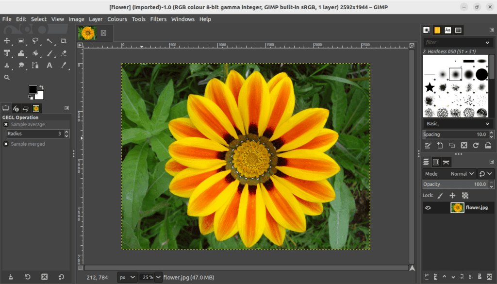 Colored flower image open in GIMP