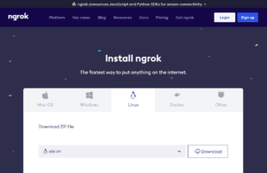 ngrok download page