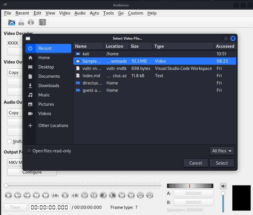 Avidemux Interface Showing File Options