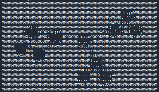 jp2a ASCII Output