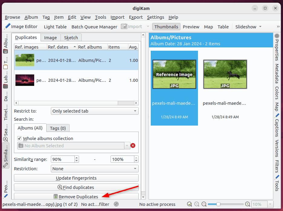 removing duplicate photos on digiKam tool