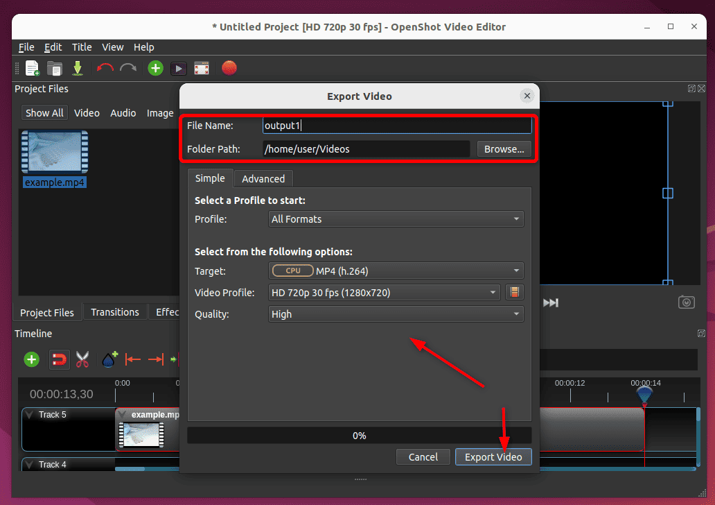 specifying file name, path and other parameters of video in openshot export window