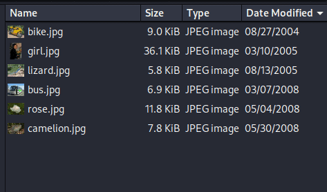 Sorted images in the file system.