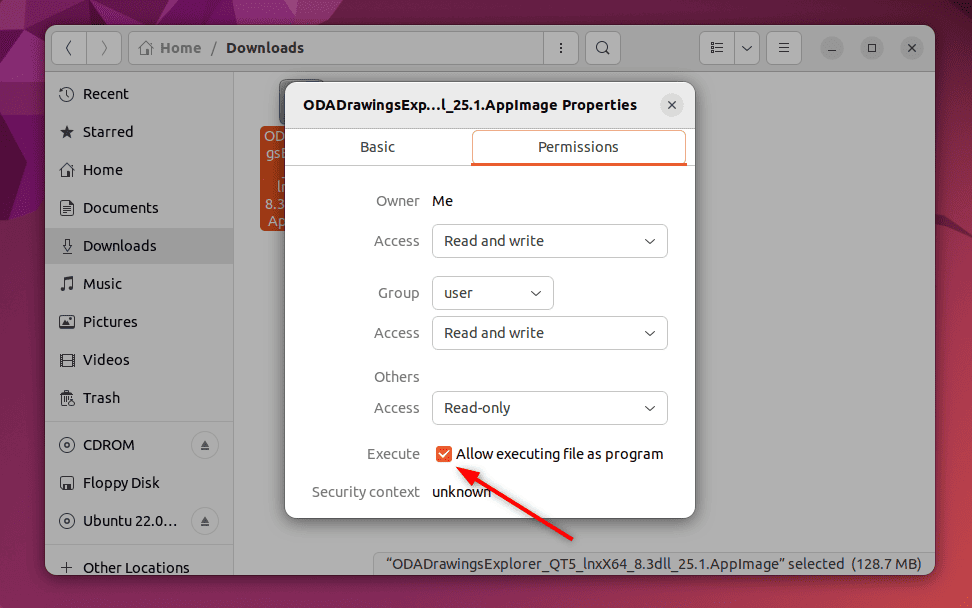 permissions sections of appimage with tick mark to allow executing file as a program option