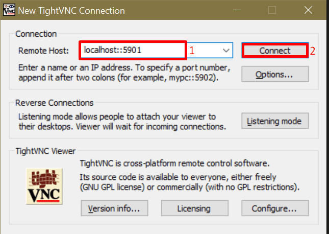 connect to VNC Server