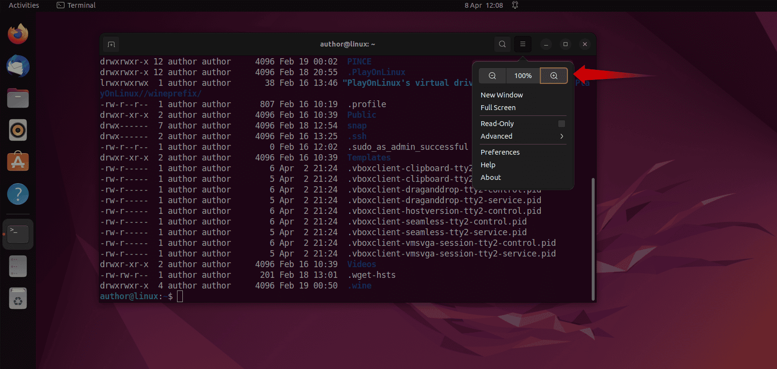 Zooming in Using Terminal Menu Option in Linux