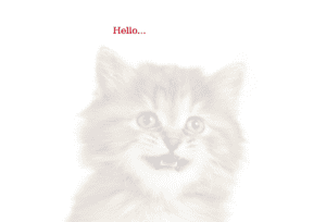 differences between the two cat photos are highlighted