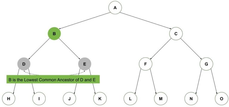 Finding the Lowest Common Ancestor of Two Nodes in a Binary Tree ...