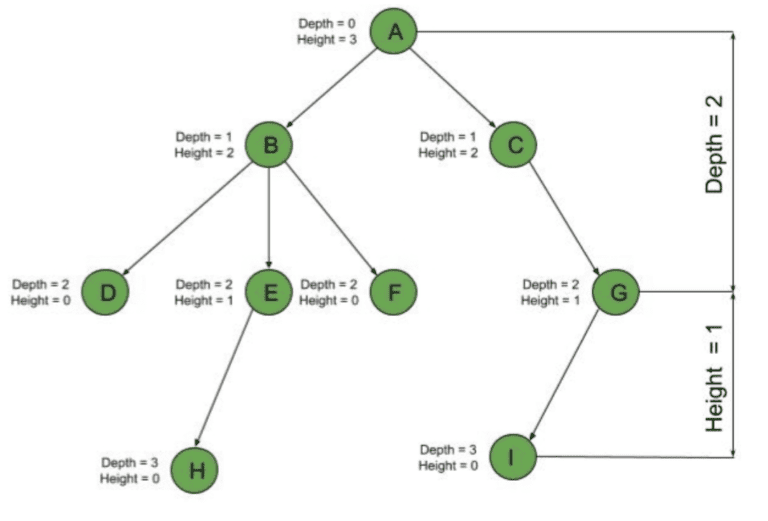 Difference Between Tree Depth and Height | Baeldung on Computer Science
