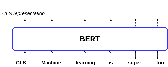 bert3