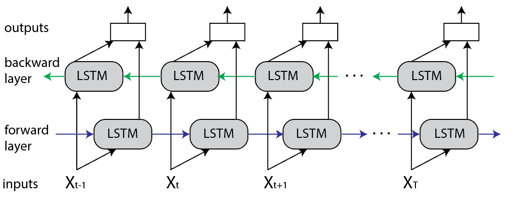 Unrolled Bidirectional LSTM Structure