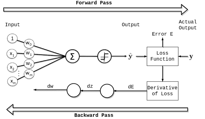 Forward and Backward Pass