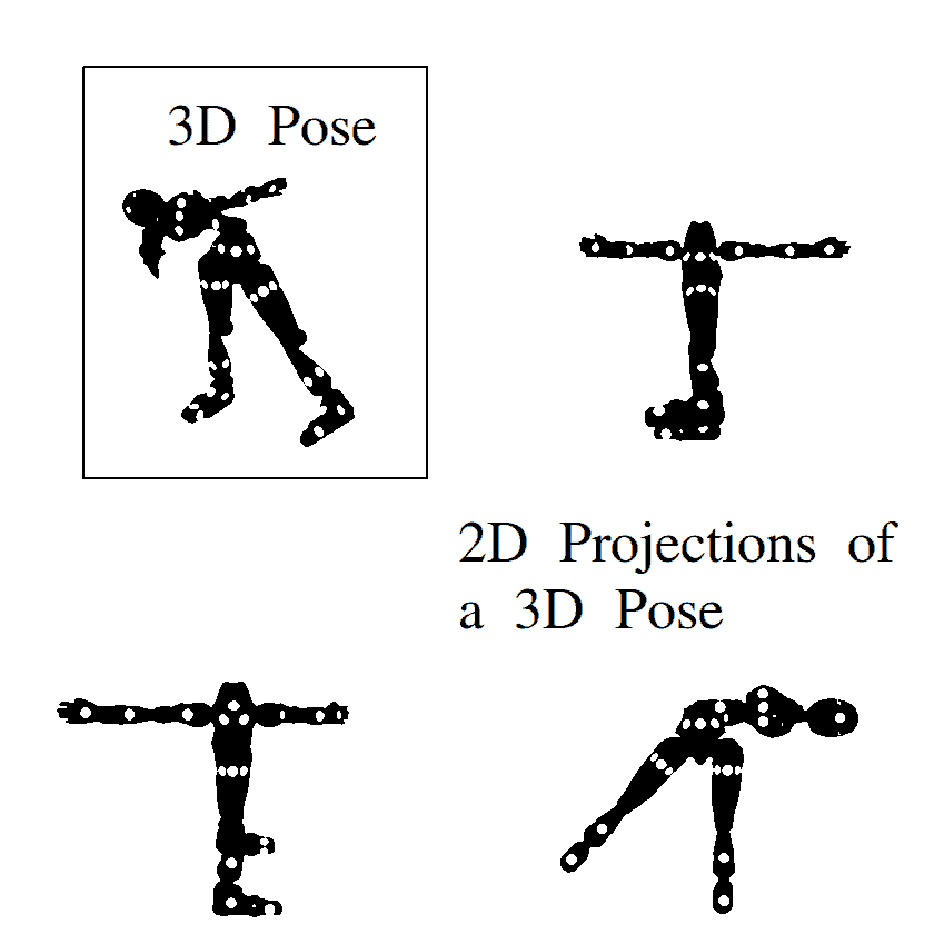 2D and 3D Pose Examples