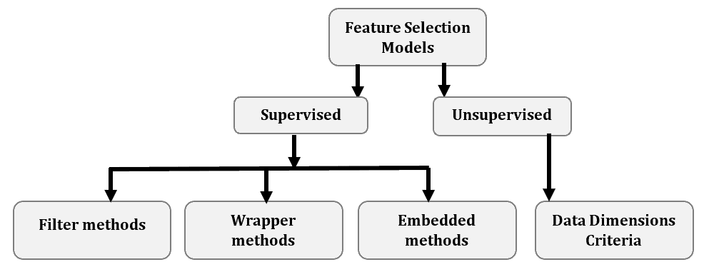feature selection models