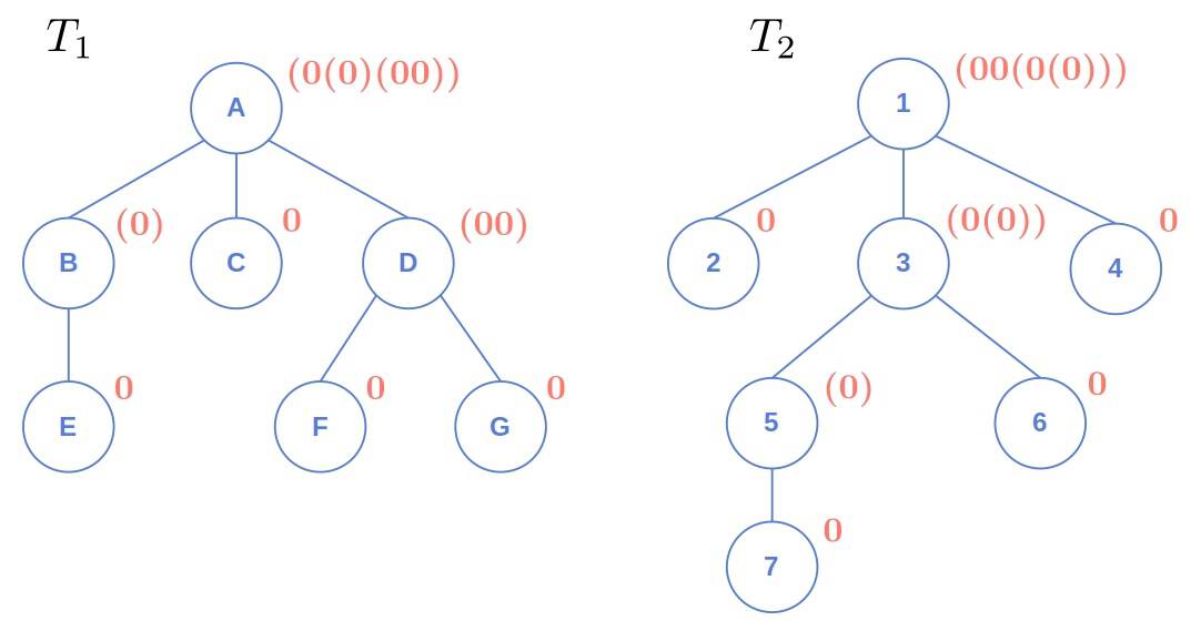 Isomorphic trees with different roots