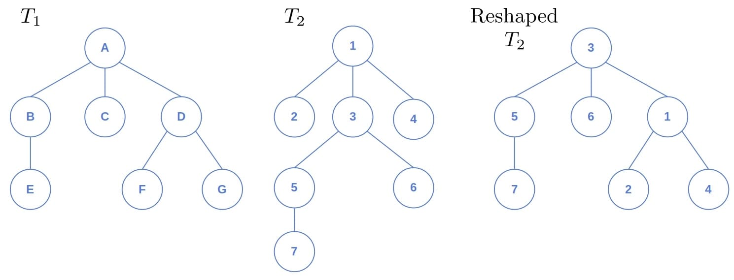 Reshaping a tree to prove isomorphism
