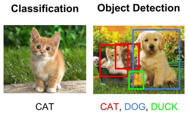 classification object detection