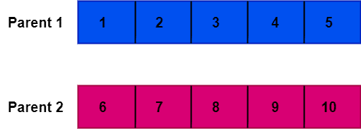 Two parent chromosomes: an example