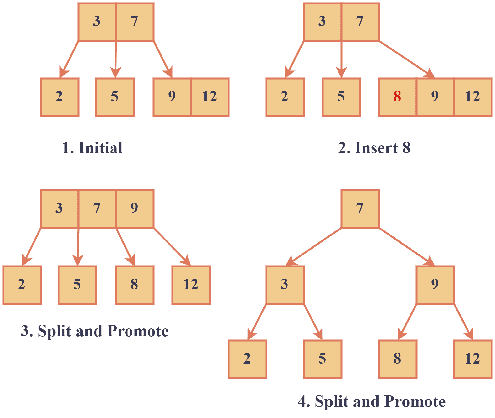 Insertion in Muti-way Search tree