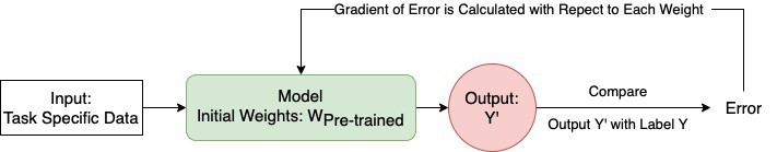 Fine-tuning pre-trained models to adapt them to different but related tasks.