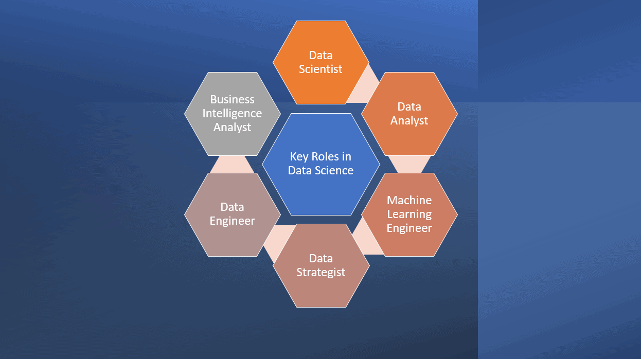 Key Roles in Data Science