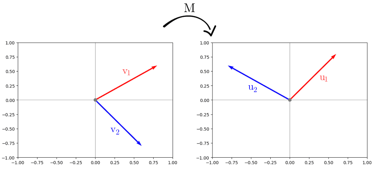 SVD orthogonality vectors