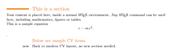 Sample section in LaTeX CV